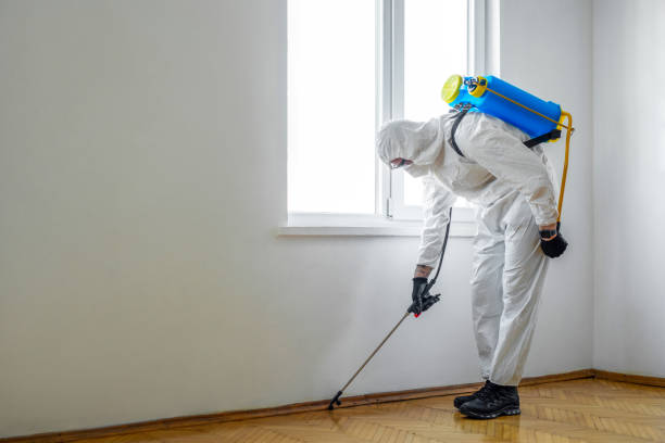 Best Emergency Pest Control  in Lake Leann, MI